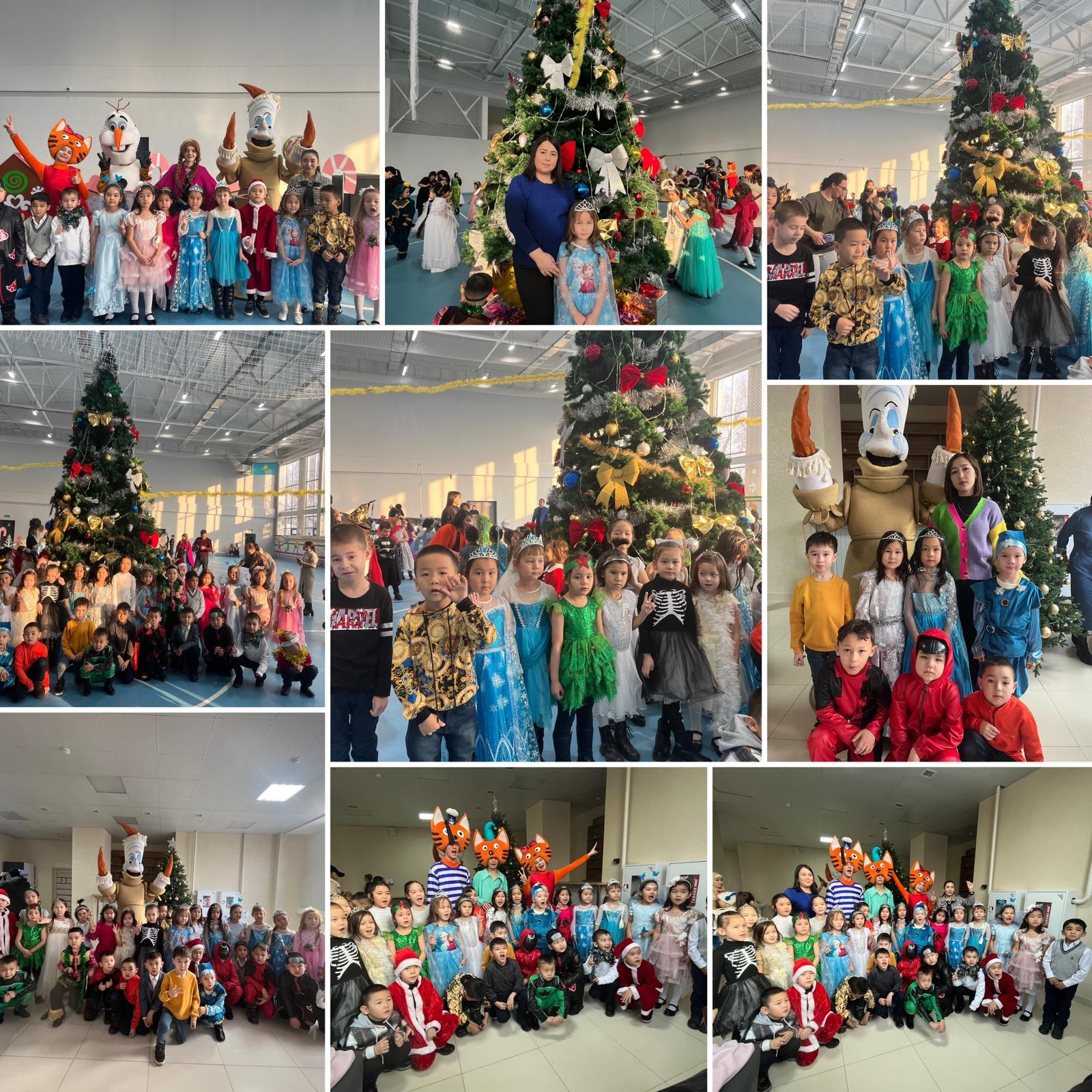 Аудан әкімінің шыршасы