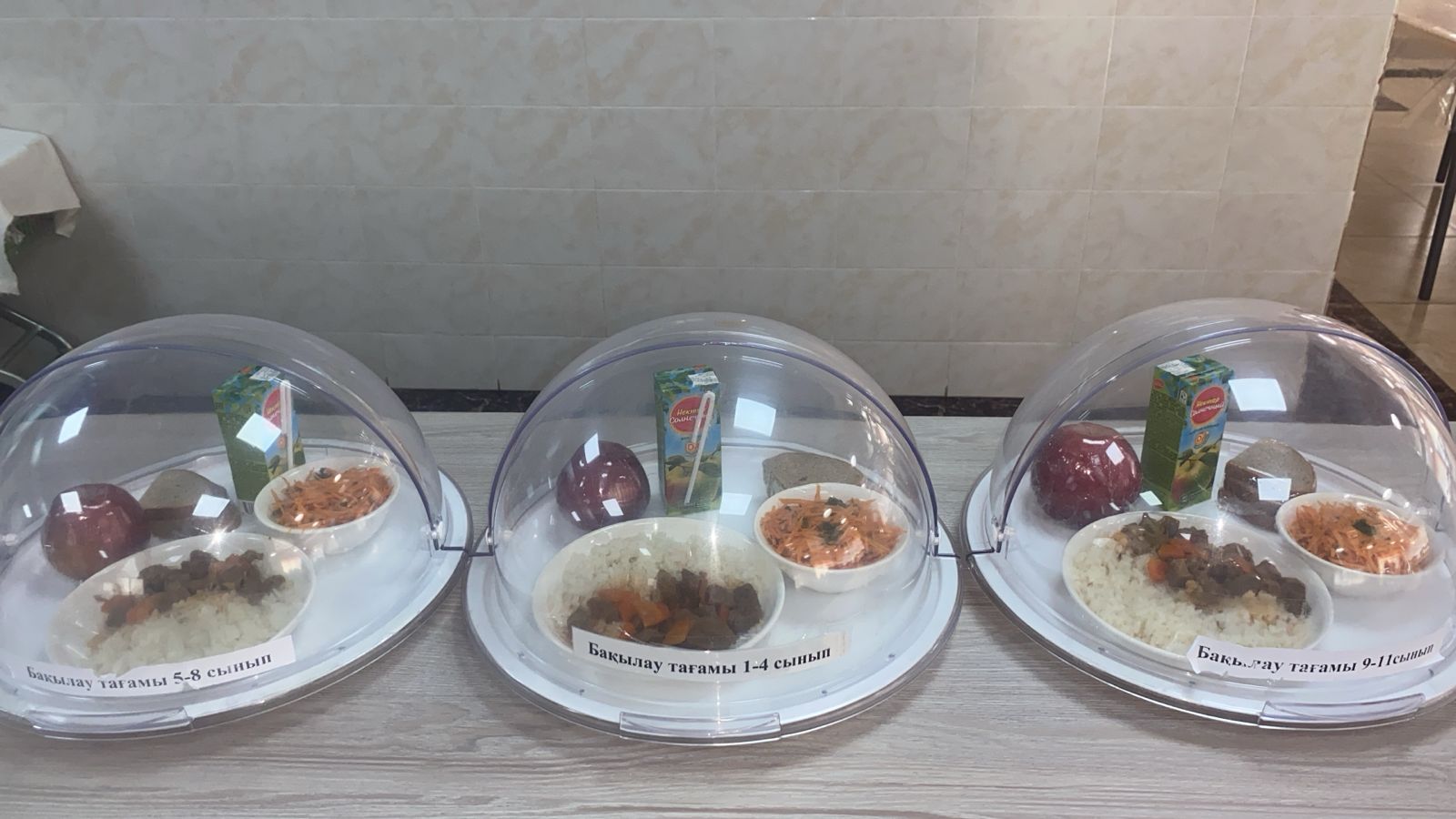 Бақылау тағамы 13.01.2025 ж