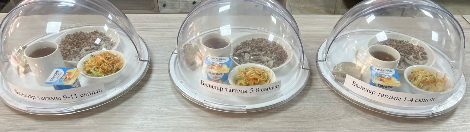 Бақылау тағамы 29.01.2025 ж